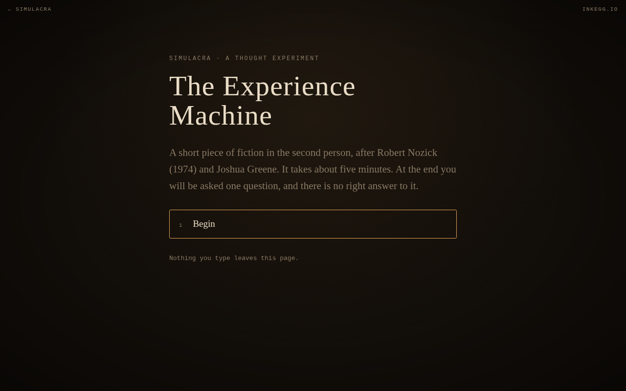 THE EXPERIENCE MACHINE — view 2